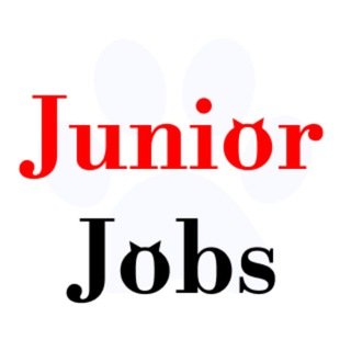 JOBS FOR IT JUNIOR SPECIALISTS