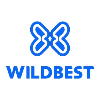 ПРОДВИЖЕНИЕ НА МАРКЕТПЛЕЙСАХ WILDBEST