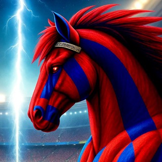 REDBLUE_FANS