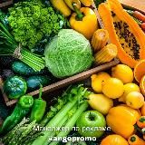 ДЛЯ НАЧИНАЮЩИХ • ПОХУДЕНИЕ
