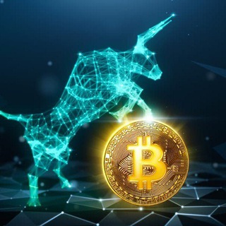 BULL_RUN 