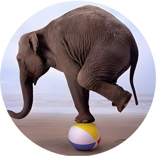 QA — LOAD (JOB)