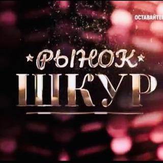 СЛИВЫ БЛОГЕРОВ ШКУРНАДЗОР