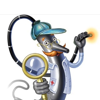 ENDOSCOPY CHAT