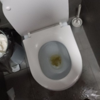 ДАНЯ КАШИН