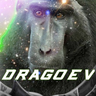 РОЗЫГРЫШИ ОТ DRAGOEV