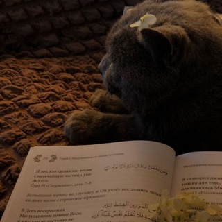 АРАБСКИЙ | ДЛЯ СЕСТЁР И ДЕТЕЙ