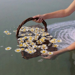 ЕСКАПІЗМ✙