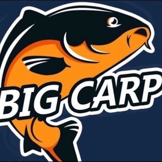 BIG CARP