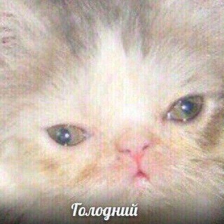 ТЫ МОЛОДЕЦ