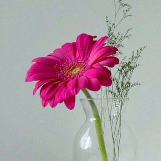 HANDMADE РУКОДЕЛИЕ