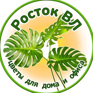 РОСТОКВЛ РАСТЕНИЯ ВЛАДИВОСТОК