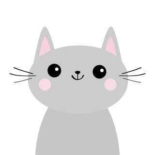 KISAH KUCING KITA