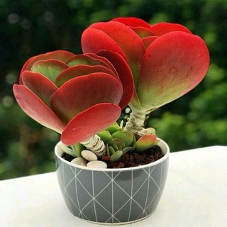 МИР ПОЗИТИВАВДОХНОВЕНИЕ