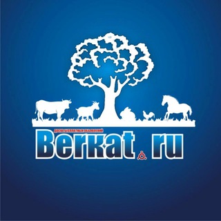 БЕРКАТ СЕЛЬХОЗ КАНАЛ