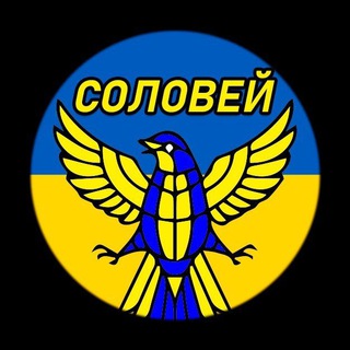 СОЛОВЕЙ | УКРАИНА НОВОСТИ