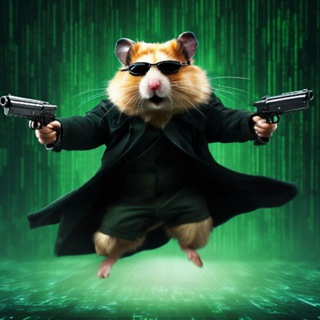 БЛОГ ХОМЯКА CRYPTO ДВИЖ
