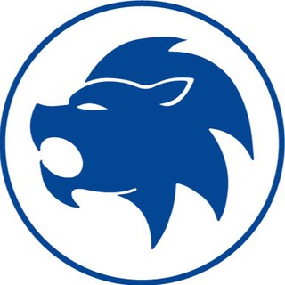 FC CHELSEA - ЧЕЛСИ