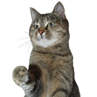 ТЕТЯ ЧУНЯ И КОТОЖИЗНЬ!