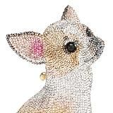 GOLDEN CHIHUAHUA