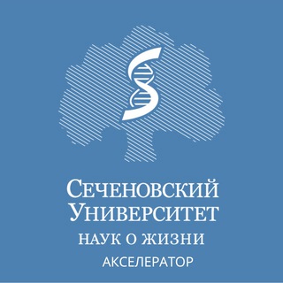 SECHENOVTECH / ACCELERATION