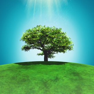 СТОРИС ON-SHOP