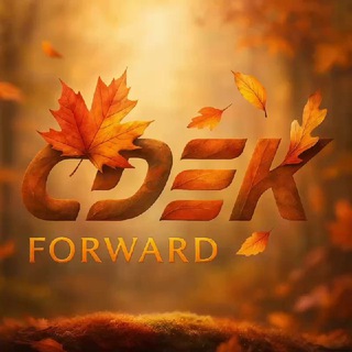 CDEK FORWARD | ОНЛАЙН ПОКУПКИ ЗА РУБЕЖОМ