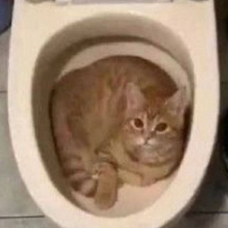 МИКРОЧЕЛЫ