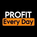 PROFIT EVERY DAY