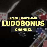 LEGZO STARDA VOLNA ROX CASINO