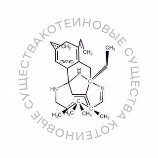 КОТЕИНОВЫЕ СУЩЕСТВА