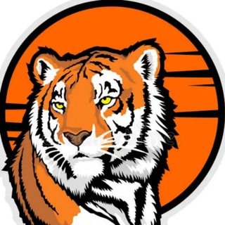 ВЛАДИВОСТОК  НОВОСТИ  СЕЙЧАС | ПРИМОРСКИЙ КРАЙ  VDK_TIGER