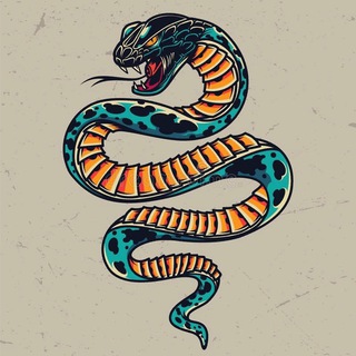 SNAKE.SHOP154