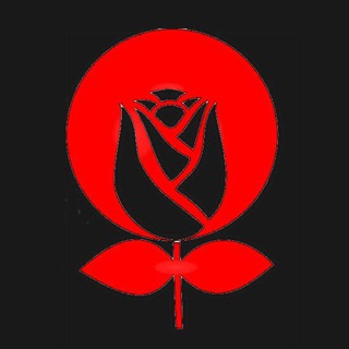 НАРОДНАЯ ГРАМАДА || STATKEVICH