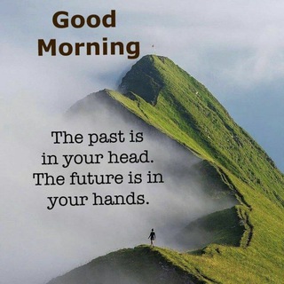 MLM BIZ INFO