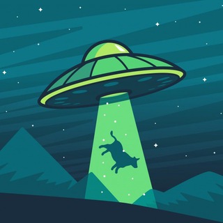 ЗАГАДОЧНЫЕ ОБСТОЯТЕЛЬСТВА