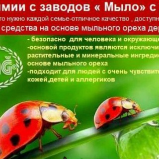 ERSAG ОТЗЫВЫ
