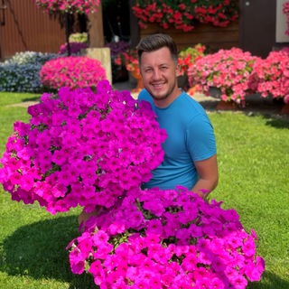 DIMA_MOGET