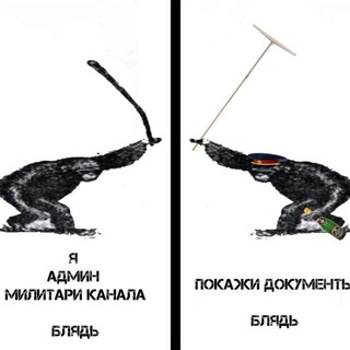 ЧЕШИР ТАЕЖНЫЙ И ДЕЛО О ПРОПАВШИХ МАНДАРИНАХ
