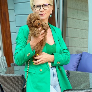 TOYPOODLE_PETS