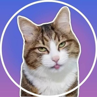 VIDEO STICKERS - ВИДЕО СТИКЕРЫ - ГИФ СТИКИ