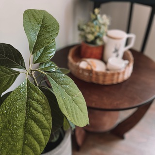 @SVETLYI_HOME