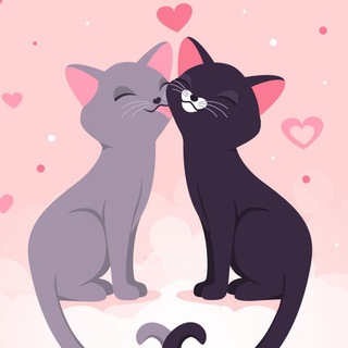 МОЙ КОТЯ 