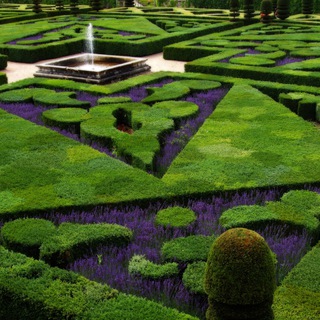 FLOWERS&GARDEN