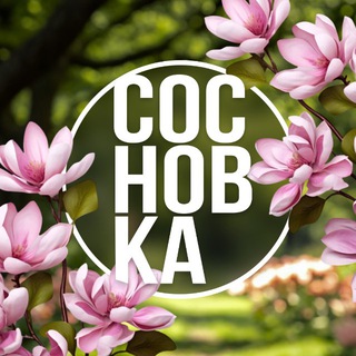 ШКОЛА СОСНОВКА