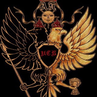 ИМПЕРИЯ СИЛЬНЕЙШИХ ВЕДЬМ. ИЗУЧЕНИЕ МАГИИ И КОЛДОВСТВА.