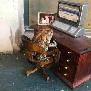 ЖАБИ