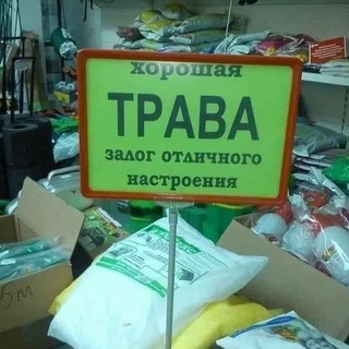ФАНАТЫ САШИНОЙ ЗАМАЗКИ