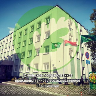 ЛЕСОВОДЫ ГОМЕЛЬЩИНЫ