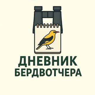 ДНЕВНИК БЁРДВОТЧЕРА